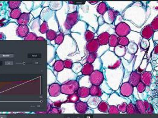 Labscope Product Screenshot 6