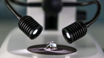 ZEISS K LED Double Spot Illumination