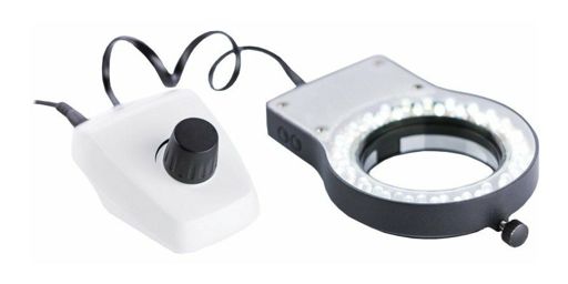 Cid42c53j8id7259hfm82406v44e070620242 1