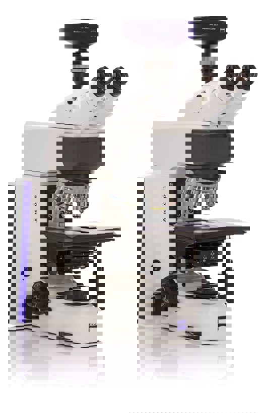 490040 0040 000.Jpg 650